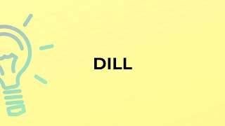 What is the meaning of the word DILL