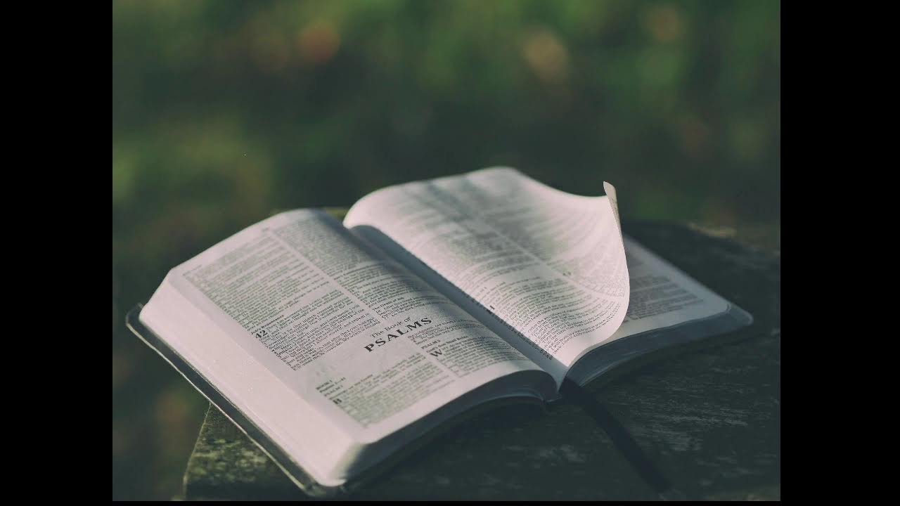 Temple Adventiste North Miami 3/1/2026 | Réunion de prière :dimanche soir: 6:00-8:00 PM