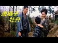 唐獅子牡丹  高倉健~緑咲香澄~1966年:義理と人情を 秤にかけりゃ・・・