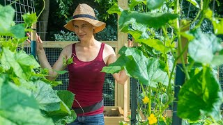 What's growing in my garden now? by TRUE FOOD TV 30,002 views 9 months ago 19 minutes