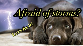 Desensitization for Dogs/Puppies: Storms 🌧️ Fireworks 💥 by PadFootPoms Poodles and Pals 152 views 6 months ago 4 minutes, 48 seconds