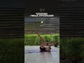 Продолжение челленджа умных упражнений, техника выполнения в описании!   #balletfitness #fitness