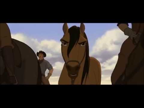 סוס הפרא חייב ללחום 