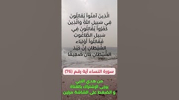 سورة النساء آية رقم (76) #سعد_الغامدي