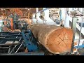 Amazing modern automatic wood processor production factory fastest wood sawmill machines working