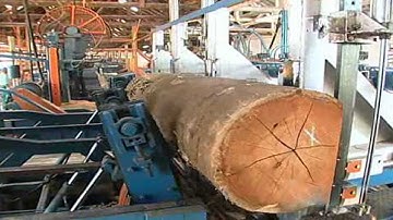 Pabrik Produksi Prosesor Kayu Otomatis Modern yang Menakjubkan, Mesin Penggergajian Kayu Tercepat yang Bekerja