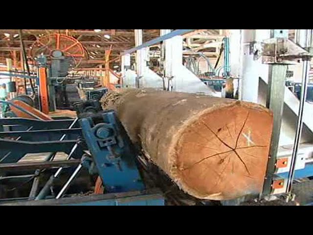 Amazing Modern Automatic Wood Processor Production Factory, Fastest Wood Sawmill Machines Working class=