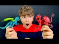 CHI VINCERA LA SFIDA? - Dragon The Game - Leo Toys