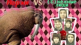 Снежные люди VS Моржи