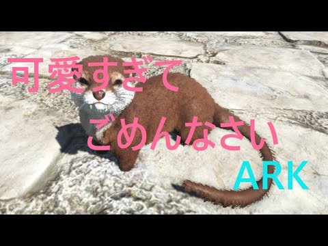 餌 カワウソ ark