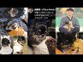 愛犬ソラが亡くなった話【2026/08/31】