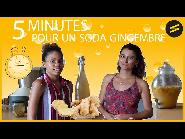 [Écotutos 24/44 ] 5 minutes pour préparer son soda au gingembre