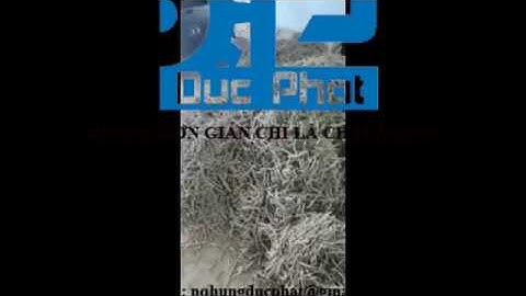 MÁY RỬA DƯỢC LIỆU SẠCH NHẤT