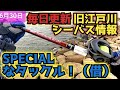 Fishman ベンダバール10.1M 23 アンタレスDCMD めちゃくちゃSPECIALなシーバスタックル!