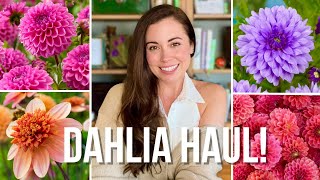2026 Dahlia Haul Every Variety Im Growing This Year