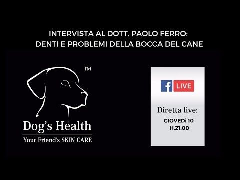 Video: I vantaggi di Diatomace Earth per cani