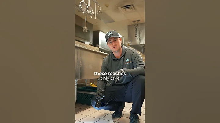 How German Roaches Infest Commercial Kitchens So Fast – What Every Restaurant Should Know