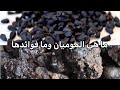 ما هي الموميان و ما فوائدها