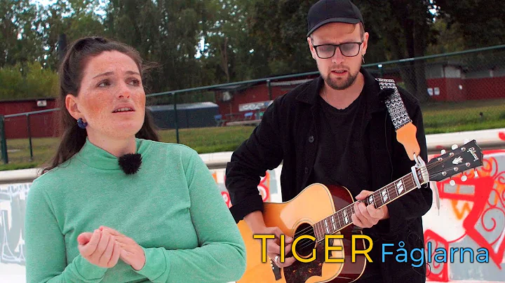 Tiger - Fglarna (Acoustic session by ILOVESWEDEN.NET)