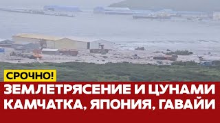 видео: 🔴 СРОЧНО Землетрясение и цунами. Что происходит на Камчатке, в Японии, на Гавайях #новости #одиндень картинка: 🔴 СРОЧНО Землетрясение и цунами. Что происходит на Камчатке, в Японии, на Гавайях #новости #одиндень