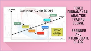 Forex Fundamental Analysis Trading Course - Beginner and Intermediate Traders