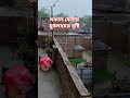 Raining Day #shorts #rainyday #rainsounds #rainyweather