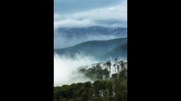 وما قدروا الله حق قدره..تلاوة مباركة للقارئ الشيخ/وليد الأزهرى..