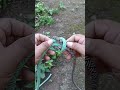 "Fastest Way to Tie Two Ropes Together | Strong & Easy Knot" #knot #shorts #diy