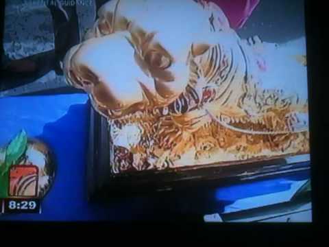 fengshui charms for 2010 at umagang kay ganda