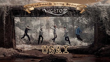 Vagetoz - Usai