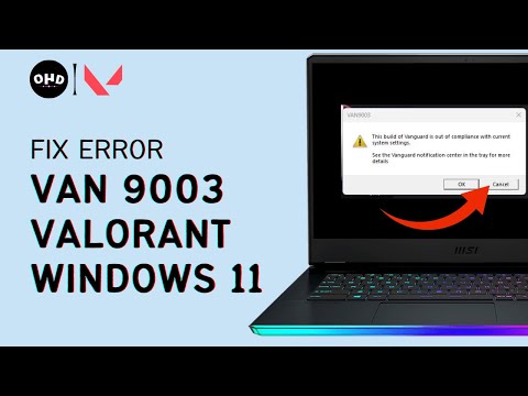 VAN 9003 Valorant