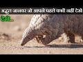 Animals that you see first time  in hindi  anokhe sach 