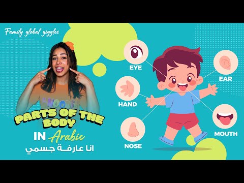 أغانى أطفال مصرية أجزاء الجسم استمتع بالتعلم والمرح    