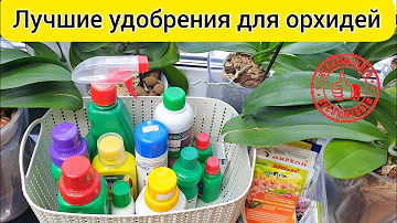 Лучшие УДОБРЕНИЯ для орхидей