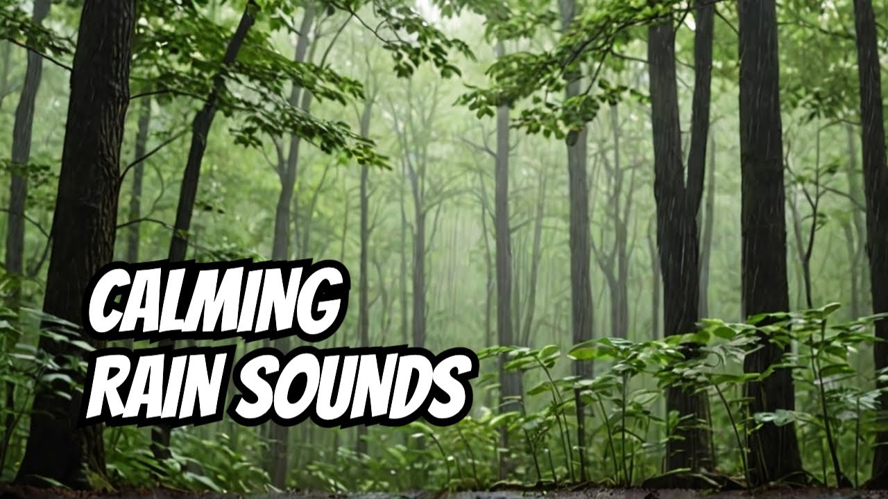 Sleep Better with Calming Rain Sounds in Forest - YouTube