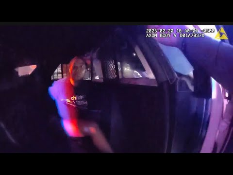 Traffic Stop Turns Wild — Woman Makes a Run for It Into Her House ...