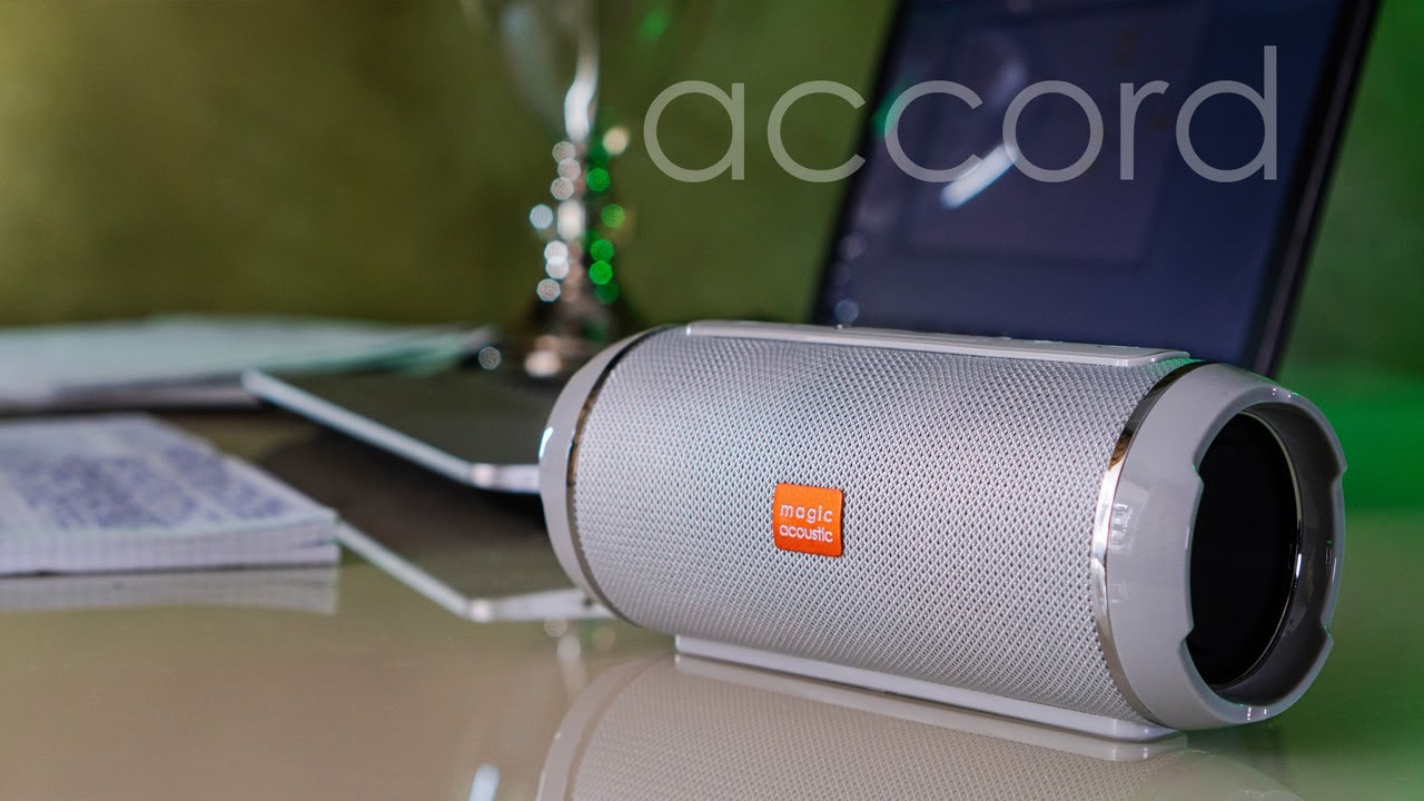 Портативная акустическая система Magic Acoustic accord SK1018