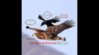 Eagle and The Raven | Motivation for going higher today