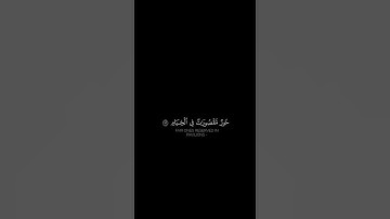 فيهن خيرات حسان | كرومات قرآن كريم بصوت #ياسر_الدوسري | #سورة_الرحمن