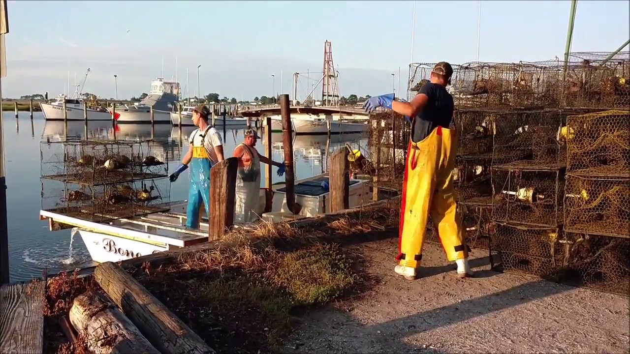 "One Shared Place, Washington High School" Kolby Noble (Earth Science Week 2017)