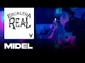 Midel  escalera real cypher 15