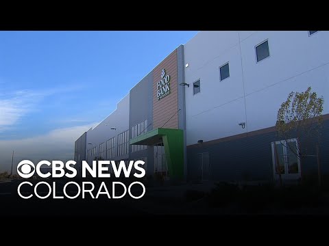 Aurora Food Bank of the Rockies distribution center nears completion amid rising need