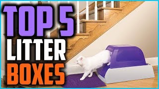 Best Self Cleaning Litter Boxes Of 2024