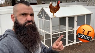 I Bought a Chicken Coop from Tractor Supply Co. (TSC) - Precision Pet Products Review