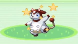 LIVE Shiny Miltank after 4,404 REs in the Emerald Safari Zone