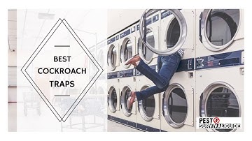 Best Cockroach Traps