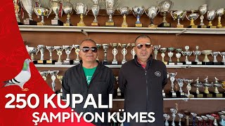 Türkiyede Bir İlk Bricon Pigeon Arrive Sistem Şampiyon Gökhan Tunca