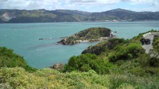 Matiu Island
