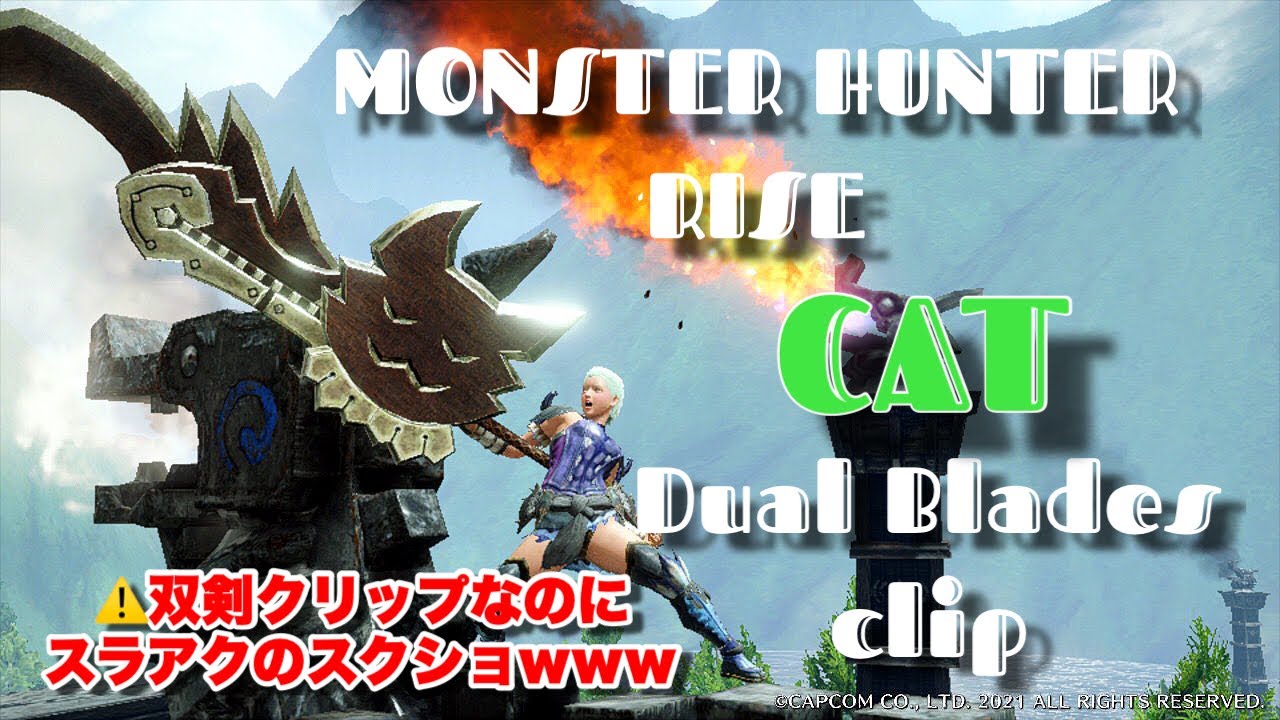 Mhrise Catの双剣クリップ集 スクショがスラアクなのは気にしないでねw Switch モンハンライズyoutube動画まとめ