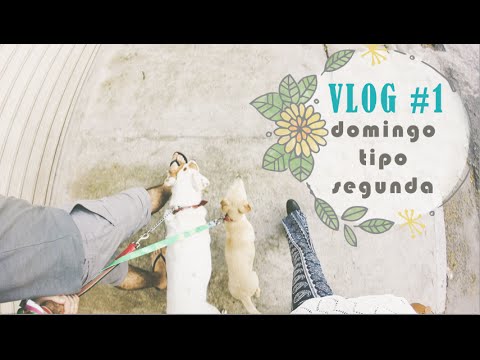 VLOG #1: Domingo meio segunda, fotos e Lucy passeando o Ringo